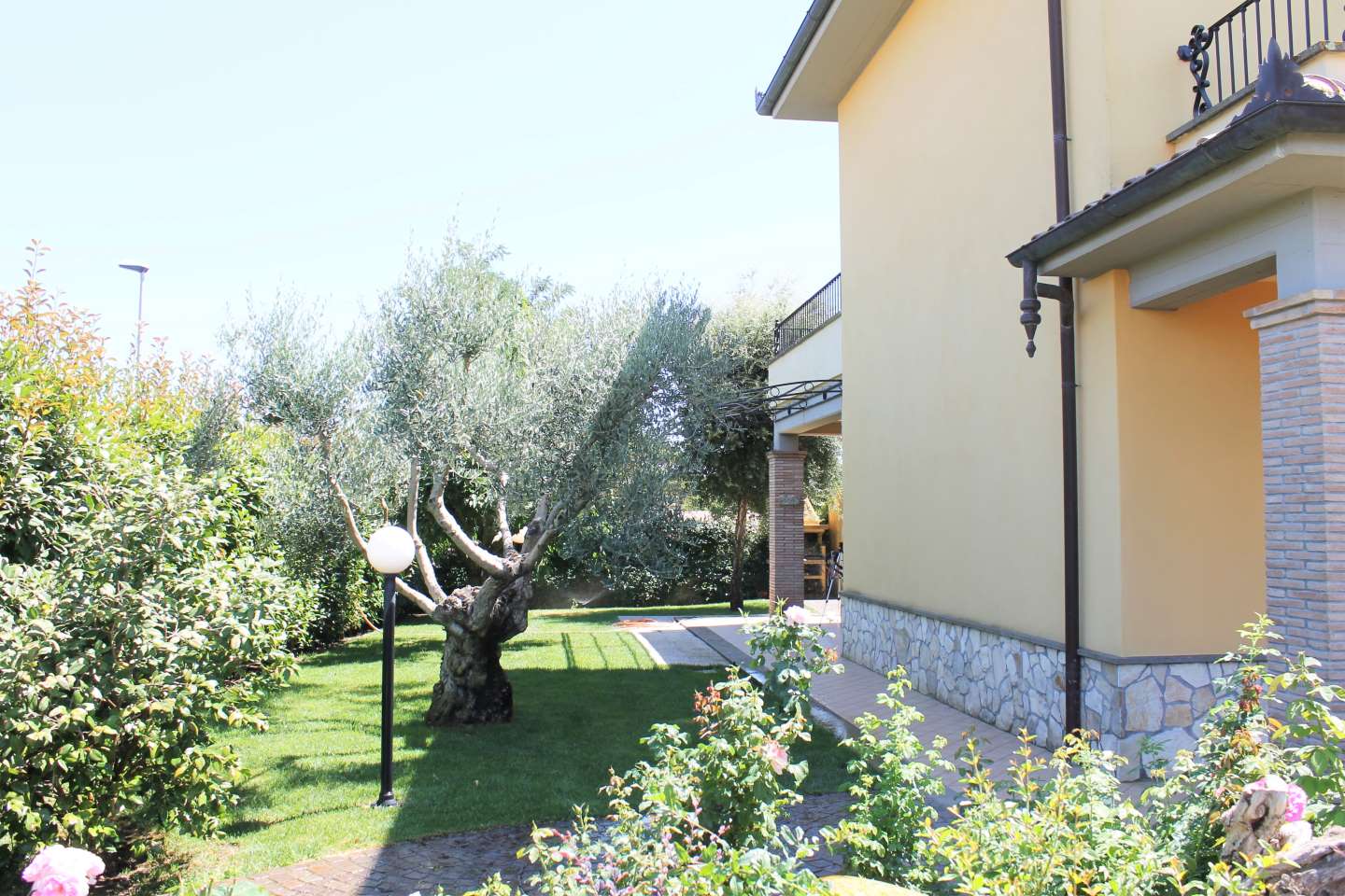 Giardino