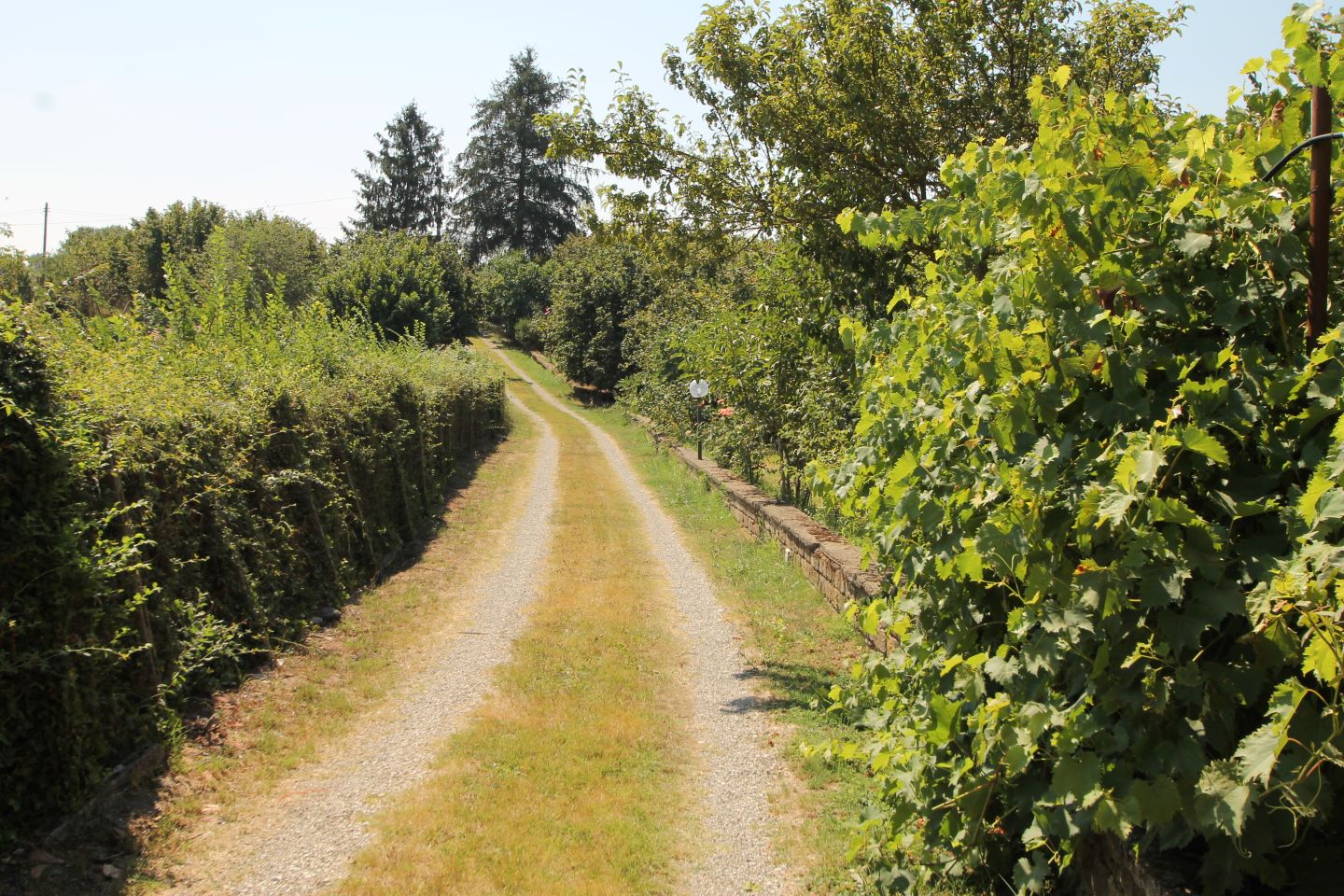 Viale d'ingresso
