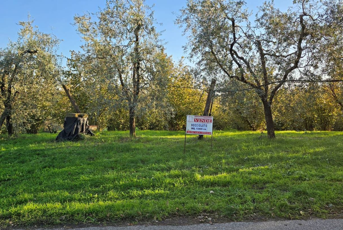 Terreno agricolo