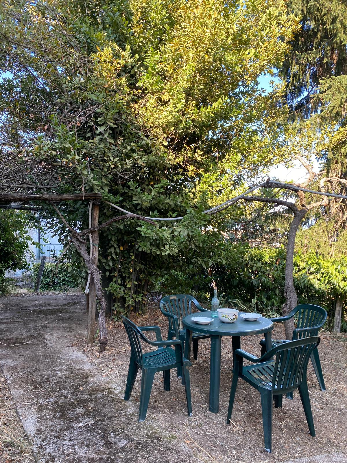 Giardino