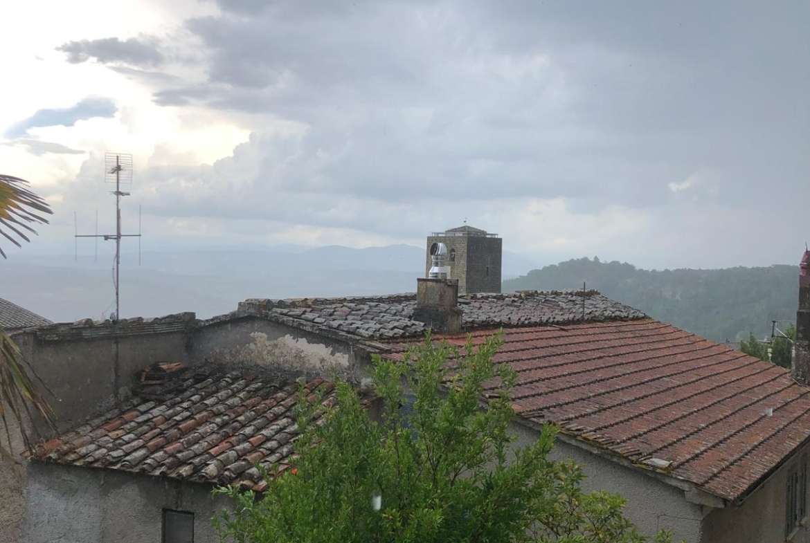 Vista