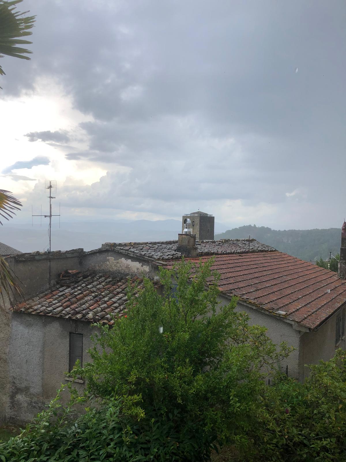 Vista