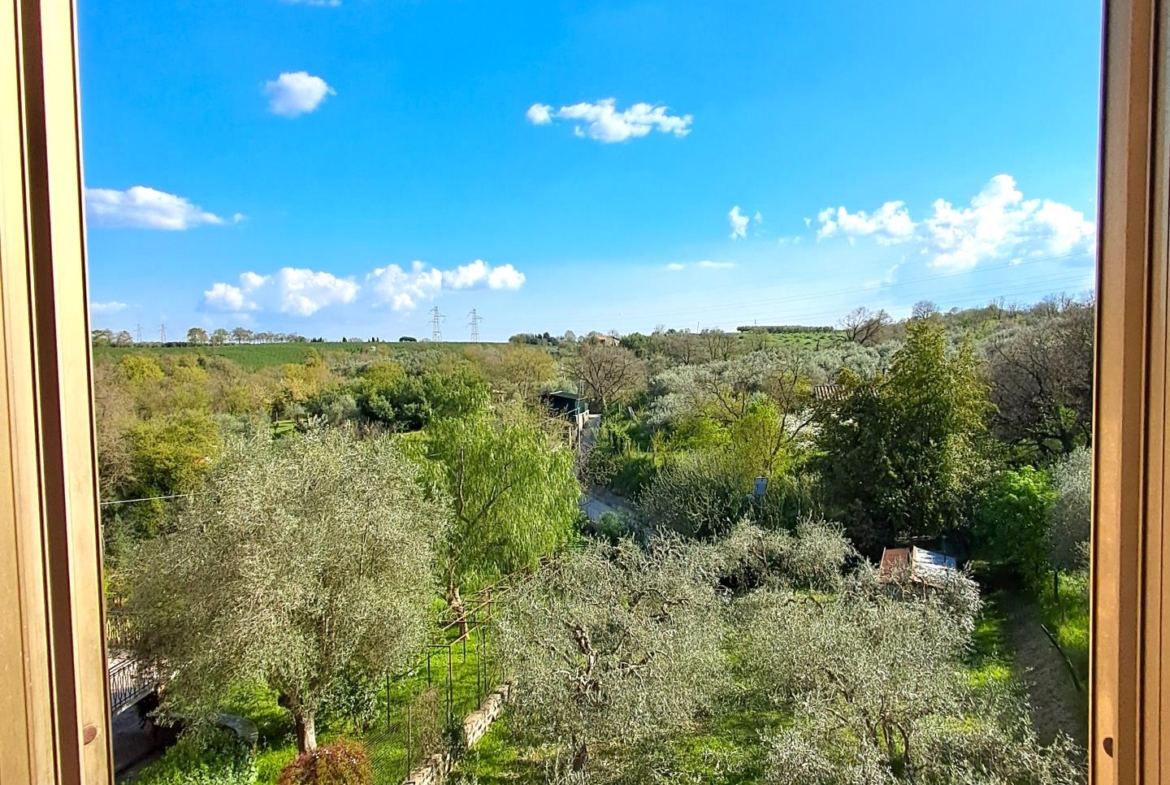 Panorama