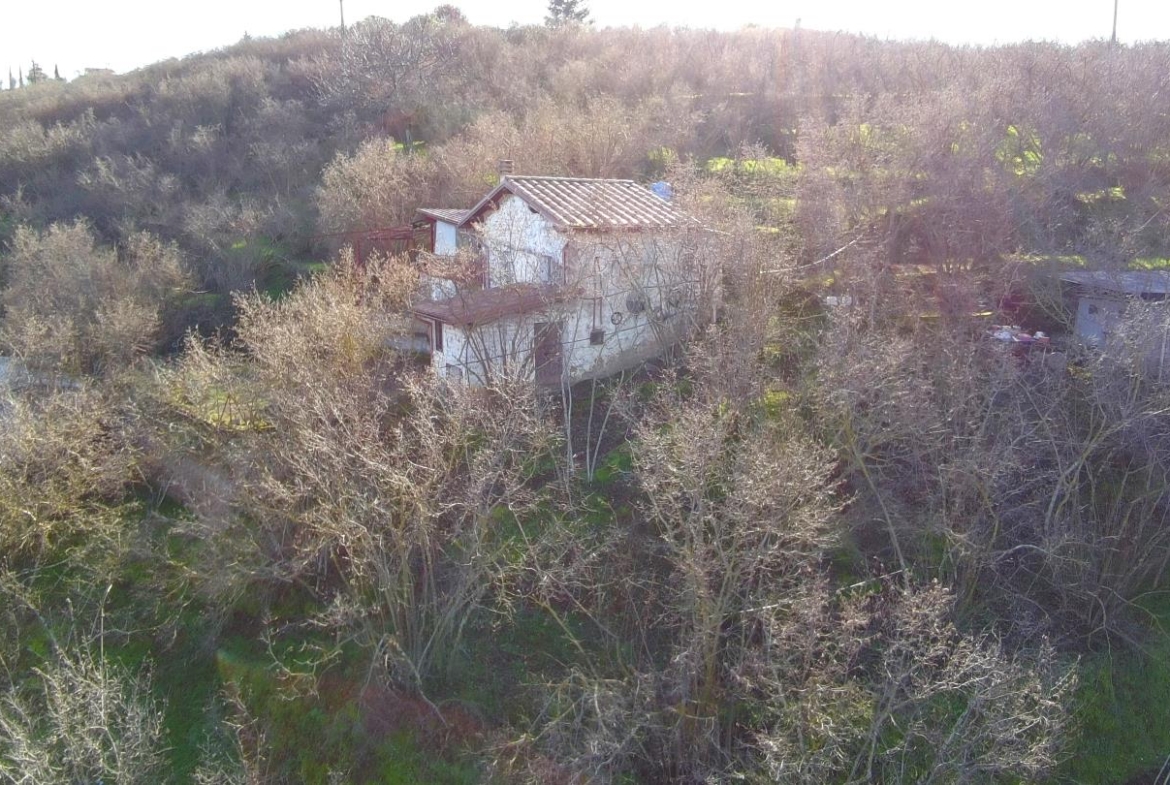 Terreno agricolo
