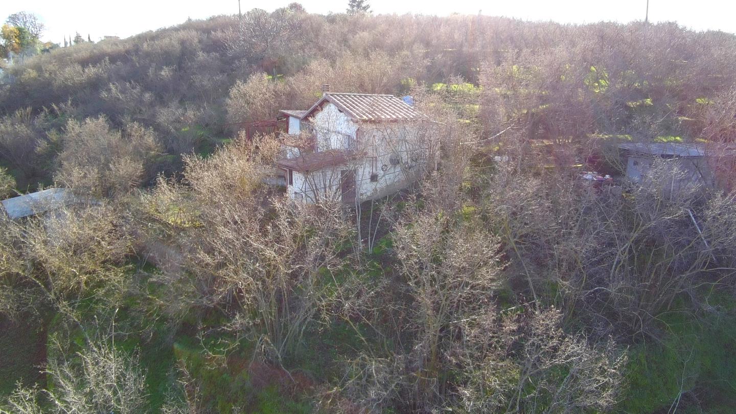 Terreno agricolo