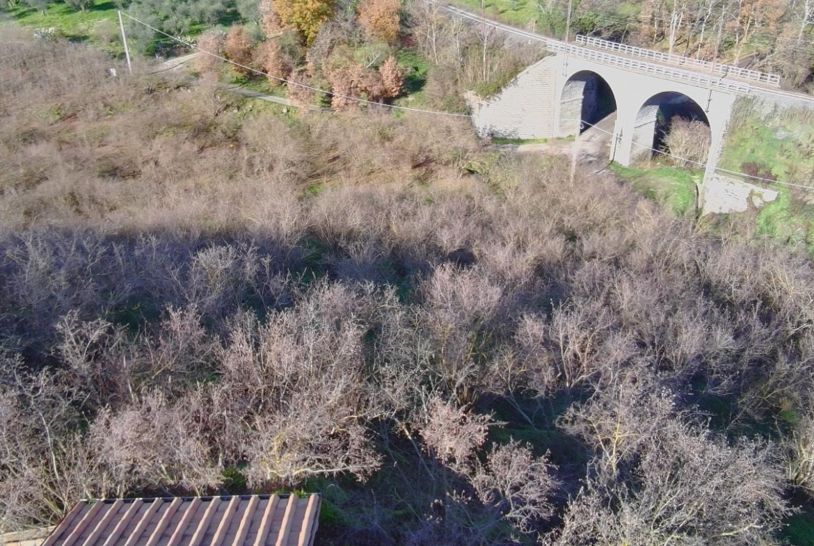 Terreno agricolo
