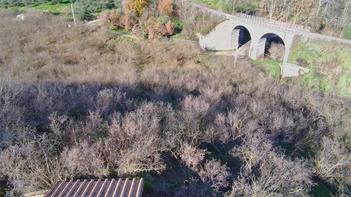 Terreno agricolo