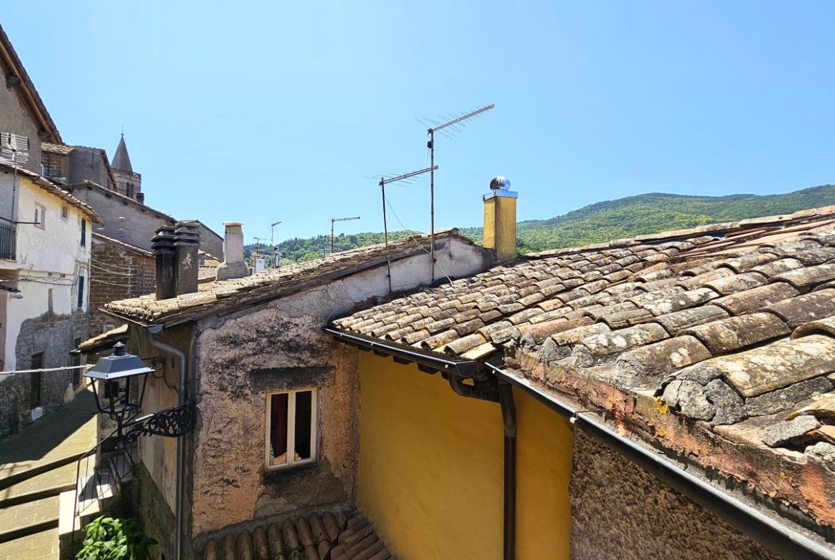 Panorama