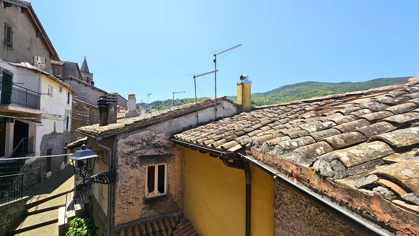 Panorama