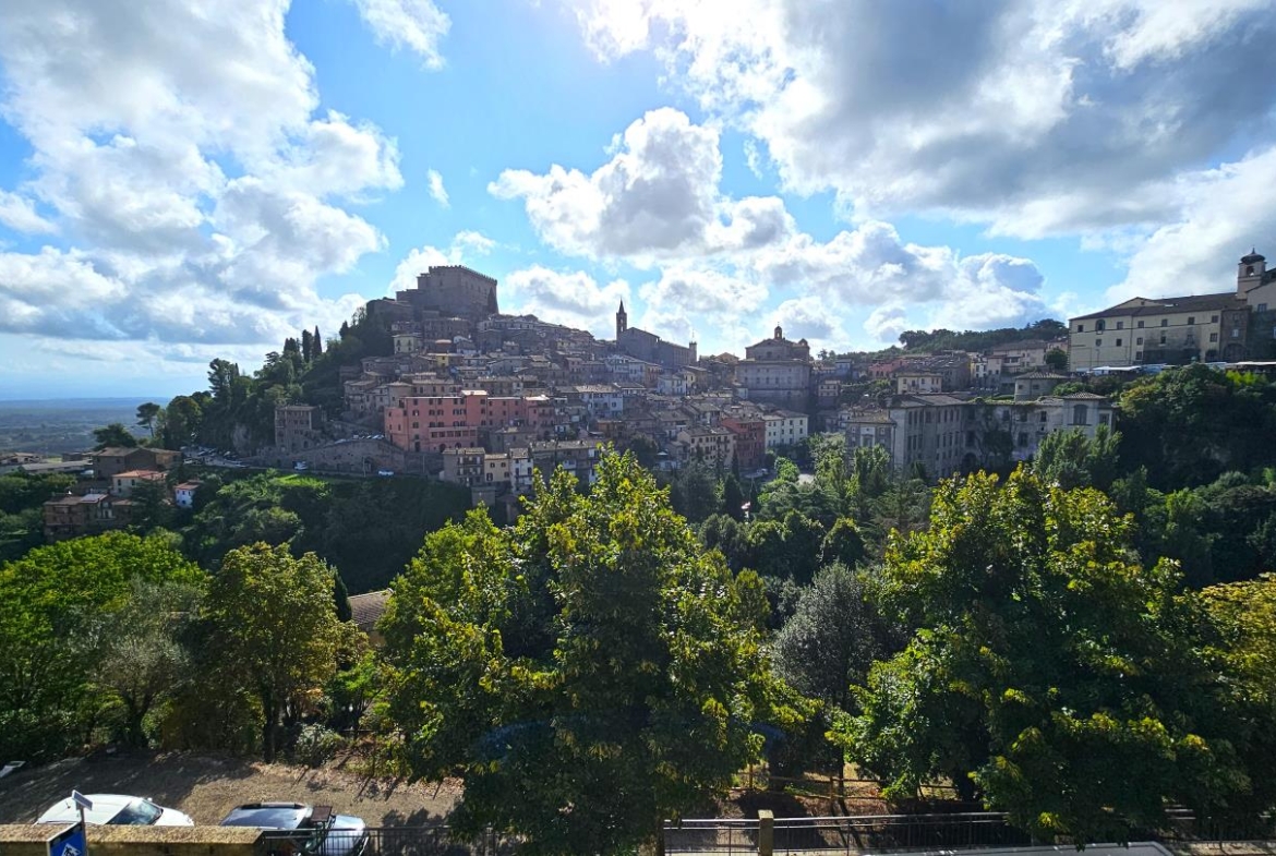 Panorama