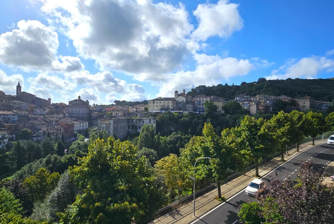 Panorama