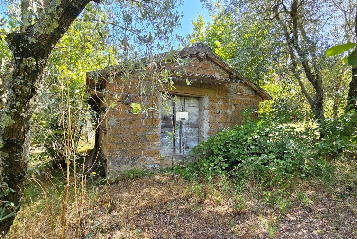 Rif. 1357 - Annesso agricolo con terreno