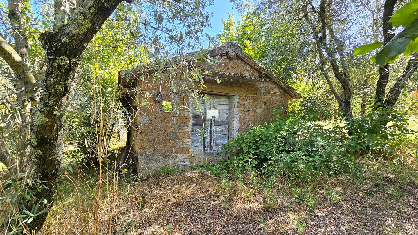 Rif. 1357 - Annesso agricolo con terreno