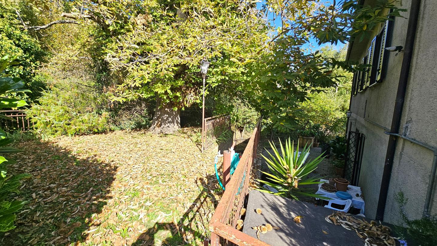 Area esterna e giardino