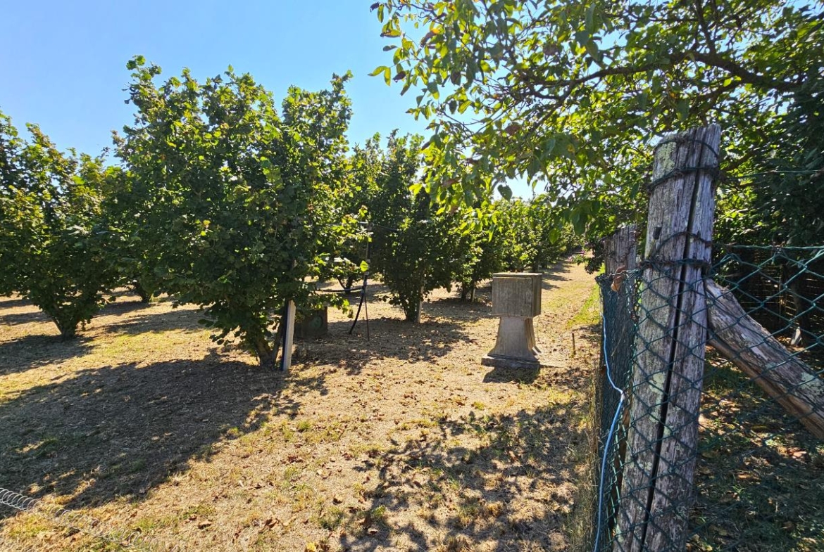 Terreno agricolo recintato