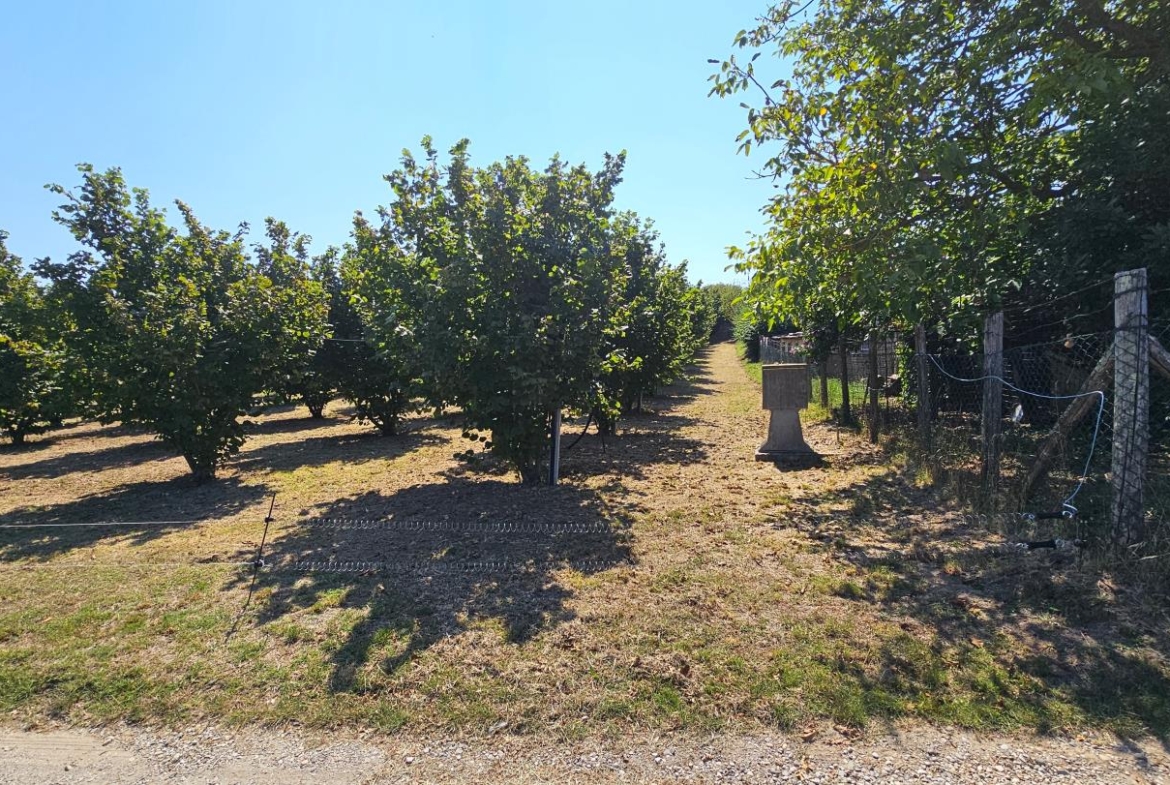 Terreno agricolo recintato