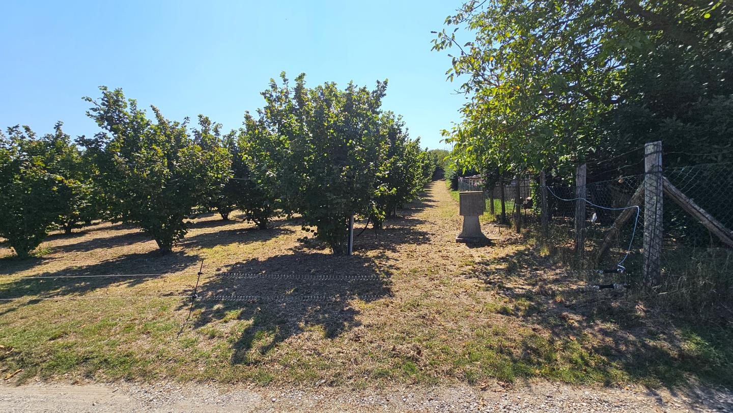 Terreno agricolo recintato