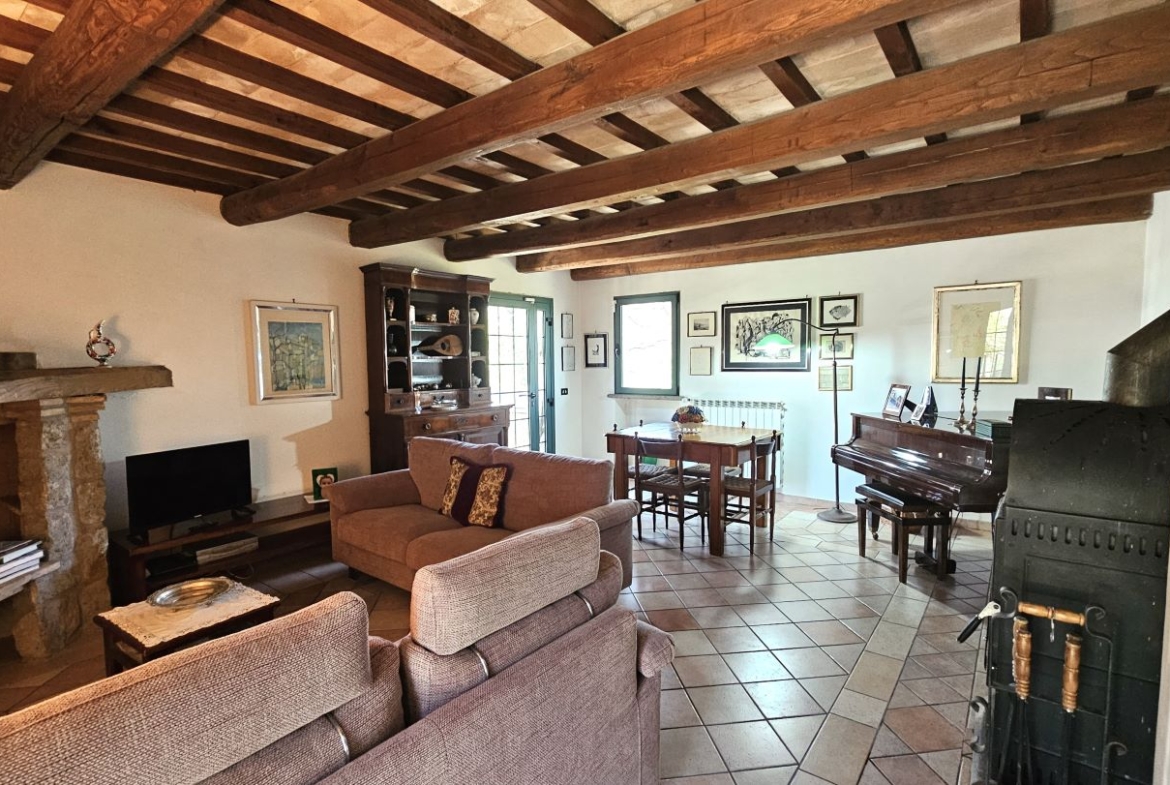 Soggiorno con camino